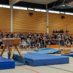 VfL-Familien-Sport-Tag-2018-Fuji-x100s-6603