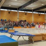 VfL-Familien-Sport-Tag-2018-Fuji-x100s-6612